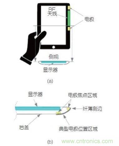 (a)側(cè)剖視圖描述;(b)電極焦點區(qū)域描述