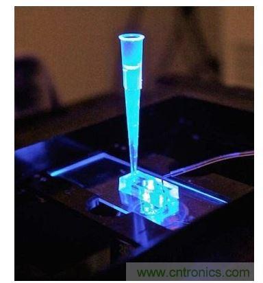 加州柏克萊大學所開發的“心臟單芯片”用以放置從成人干細胞產出的人類心臟組織，該系統有一天可望替代實驗動物應用于藥物安全篩檢
